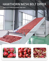 Déshydrateur alimentaire industriel à gaz séchoir à fruits séchoir à avocat séchoir à pruneaux prix de la machine à sécher les abricots