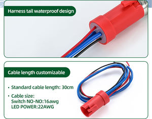 316สวิตช์ปุ่มกดโลหะ24V 19มม. พร้อมสายเชื่อม<span class=keywords><strong>ต่อ</strong></span> - Product Image 2