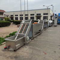 Dadelpreparatiemachine, voedselveilige roestvrijstalen bubbelwasser voor dadelpreparatielijn met transportband.