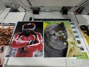 कैनन ए 3 मल्टीफंक्शन रंग फोटोकॉपियर मशीन C850 जापान में बनाया सामान्य प्रकार - Product Image 5