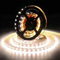 Tira de LED RGBW Impermeable IP68 Programable y Direccionable DMX