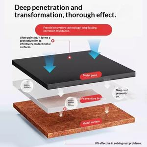 Agente Convertidor de Óxido Acrílico, <span class=keywords><strong>Pintura</strong></span> en Aerosol Anti-Corrosión para Acero y Azulejos, Revestimiento Líquido de Protección Ambiental Fxq01 - Product Image 3