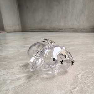 Boîte de rangement transparente en forme de lapin mignon pour poils, pendentif porte-clés, souvenirs de sac à dos, capsule de conservation de poils d'animaux - Product Image 5
