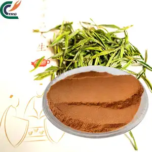 Extracto de té verde L-teanina natural L Teanina