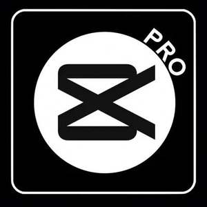 Licencia de Software Capcut Pro, Cuenta Capcut Pro, Edición de Video, Suscripción a Capcut 1 Mes - Product Image 4