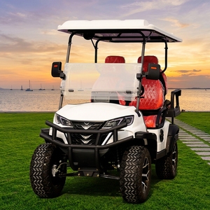 Carrito de Golf Eléctrico Elevado, Scooter de Golf de Litio de 4 Plazas, Buggy de Golf para Caza - Product Image 5