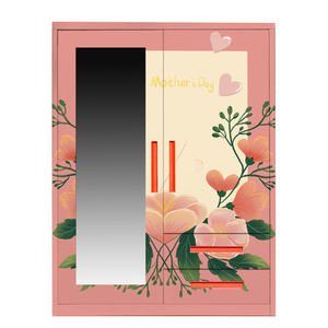 Proveedor de fábrica Armario de acero 2 Puerta Armario de acero Almirah en <span class=keywords><strong>Dubai</strong></span> Armario de acero Compras en línea - Product Image 2