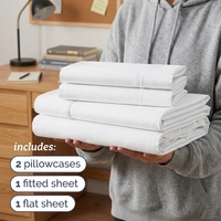 Ensemble de draps en coton 300T de luxe, vente en gros OEM, ensemble de literie d'hôtel Oeko-Tex 4 pièces