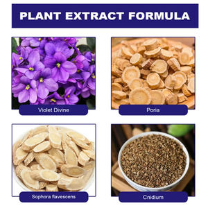 Natürlicher Pflanzenextrakt Anti-Juckreiz-Salbe für Hautreizungen & Bakterienhemmung |   Kräuter-Antibakterielle Hautcreme - Product Image 6