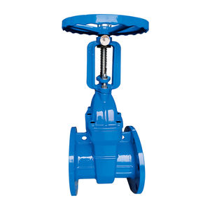 Мягкая герметичная запорная задвижка с выдвижным стержнем, ручная задвижка из ковкого чугуна - Product Image 1