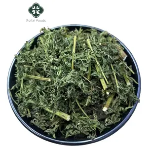 QING HAO Artemisia apiacea doğal çin tatlı pelin çay Artemisia annua bitkisel çay