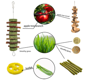 Juguetes de Conejito para Masticar, Palos de Madera Natural de Conejo, Manzana, Hierba, Timoteo, Conejillos de Indias, Chinchillas, Hámster, 20 Unidades - Product Image 3