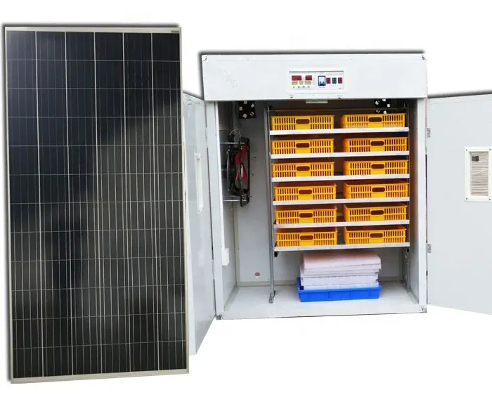 पूर्ण स्वचालित 1000 छोटे चिकन इनक्यूबेटर अंडे सेने अंडे सौर ऊर्जा अंडे इनक्यूबेटर