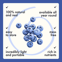 Groothandelsprijs Gedroogde Blauwe Bessen Zonder Suiker Zonder Toevoegingen Gedroogde Blauwe Bessen