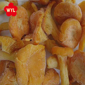 Alta qualità dei funghi <span class=keywords><strong>finferli</strong></span> congelati per le vendite calde - Product Image 5