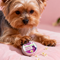 Baume 3-en-1 pour animaux de compagnie (chiens et chats) – Protection naturelle pour l'extérieur, pour réparer et protéger les griffes sèches, gercées ou rugueuses – 30g