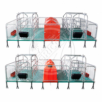Cage de mise bas galvanisée à chaud réglable pour truies et porcelets, enclos de maternité pour petite ferme porcine