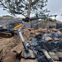 Grue araignée mobile multifonctionnelle de 3 tonnes, diesel-électrique, mini-grue compacte sur chenilles