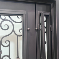 Portes d'entrée en fer forgé doubles et simples, style à ouverture battante, avec vitrage pour la maison principale