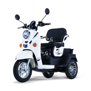 2021 10Inch Tercepat Orang Tua untuk Penyandang Cacat 48V/60V 20AH Sepeda Roda Tiga Roda 3 500W Listrik Mobilitas Scooter
