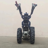 Nouveau design populaire et très demandé : Motoculteur rotatif diesel BCS 730, mini-motoculteur à engrenages 9-15 CV, roulement polyvalent, haute productivité