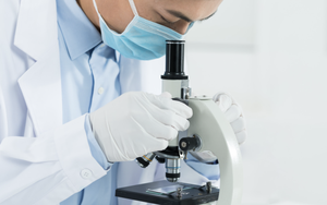 Professional and Independent Laboratory Testing and Inspection Services for Oil Removal Powder Product Inspections - Product Image 2