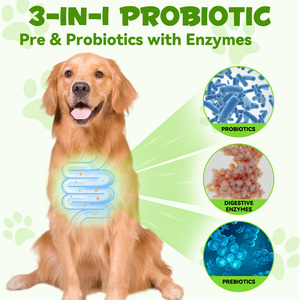Private Label Natural 3 en 1 Pet Pre and Probiotic Drops Suplemento Líquido Probiótico para Perros con Enzimas Digestivas - Product Image 3