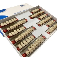 Ensemble complet de dents dentaires 2 couches pour prothèses dentaires