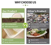 Bol à salade hexagonal en bagasse compostable et biodégradable de 750 ml, 1000 ml, 1300 ml, 1700 ml avec couvercle en plastique PP, logo personnalisé, marque HXH