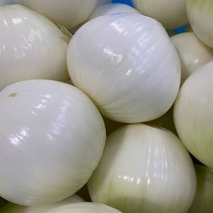 Taze vakum soyulmuş soğan toptan çin'den en iyi fiyat ile soyulmuş profesyonel fabrika tedarikçisi - Product Image 2