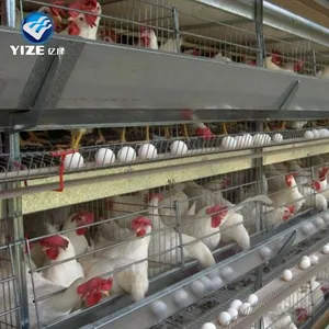 Jaula de batería tipo a para aves de corral, jaula automática para poner huevos, pollos, pollos