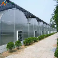 Terowongan Plastik Cina Rumah Kaca Film Pertanian Peralatan Rumah Hijau