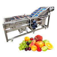 Industriële reinigingsmachine voor de verwerking van fruit en groenten, capaciteit 100-1000 kg voor groente- en fruitkiemen