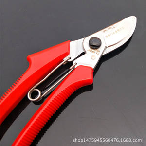 Cisailles de taille Liu Sheng 120 mm en acier inoxydable avec poignée antidérapante pour arbres fruitiers et jardins - Product Image 2