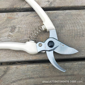 Sécatrices de jardinage taïwanaises 130A, lame en acier inoxydable de 70 mm de longueur, pour la taille des arbres et des fleurs - Product Image 5