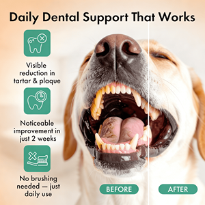 ผงดูแลสุขภาพฟันสุนัขและแมว OEM/ODM พร้อมวิตามินเสริมภูมิคุ้มกัน ไม่ต้องใช้แปรง - Product Image 2