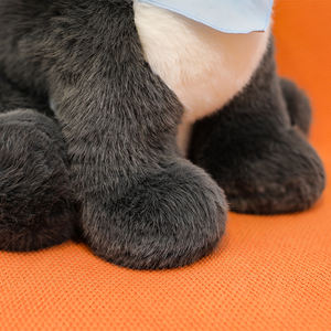 Simulación <span class=keywords><strong>de</strong></span> perro <span class=keywords><strong>de</strong></span> peluche adornos <span class=keywords><strong>de</strong></span> juguete máquina <span class=keywords><strong>de</strong></span> captura muñeca perro <span class=keywords><strong>de</strong></span> peluche Husky <span class=keywords><strong>Schnauzer</strong></span> y otras muñecas <span class=keywords><strong>de</strong></span> perros famosos - Product Image 4