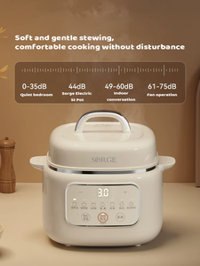 Cuisinière électrique intelligente programmable de 1 litre avec fonction vapeur - Product Image 4