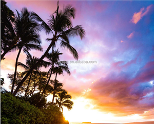 Impresora Multifuncional Digital Usada Konica Minolta C4070 - Impresión/Copia/Escaneo/<span class=keywords><strong>Fax</strong></span> a Color de Alta Velocidad, Inspeccionada Profesionalmente - Product Image 2