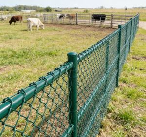 <span class=keywords><strong>Valla</strong></span> 3D, Malla <span class=keywords><strong>de</strong></span> <span class=keywords><strong>Valla</strong></span> 3D, Panel <span class=keywords><strong>de</strong></span> <span class=keywords><strong>Valla</strong></span> 3D, <span class=keywords><strong>Valla</strong></span> <span class=keywords><strong>de</strong></span> Malla 3D, <span class=keywords><strong>Valla</strong></span> <span class=keywords><strong>de</strong></span> Acero Recubierto <span class=keywords><strong>de</strong></span> PVC, <span class=keywords><strong>Valla</strong></span> Metálica Curvada, Vallas 3D - Product Image 4