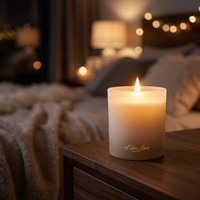 Bougie parfumée de luxe haut de gamme, décoration d'intérieur, bougies en soja personnalisées dans un verre givré pour soulager le stress et favoriser le sommeil