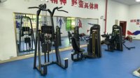 Estación de Dominadas y Flexiones Comercial de Acero con Contrapeso de 80 kg para Entrenamiento de la Parte Superior del Cuerpo EM FITNESS