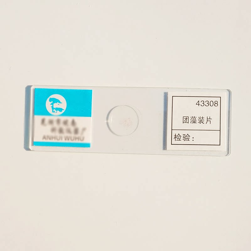 Tabletas de Carga de Algas