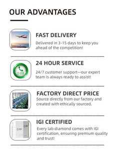 卸売IGI認定ラボ栽培ダイヤモンド1ct 2カラットプリンセスカットVvs1ダイヤモンド3ctルースHPHT CVDラボ栽培ダイヤモンド - Product Image 6