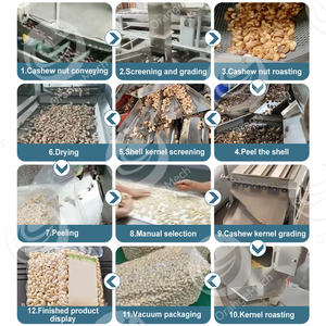 ORME Chine Ligne complète de production de noix de cajou brutes entièrement automatique Usine de transformation de noix de cajou - Product Image 2