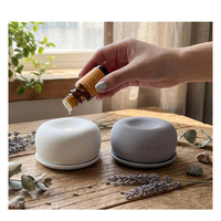 Diffuseur d'arômes écologique non toxique en pierre, aux senteurs d'orange, jasmin, citron, lavande et rose, pour la maison, la voiture et le bureau