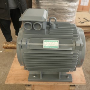 Generador Eólico de Imán Permanente Bibo de Alta Calidad, 70 rpm, 10 kW, 380 VCA, Trifásico, 11.7 Hz, 92% de Eficiencia, YGDLF-10 H, Aislamiento Y - Product Image 3