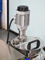 Réservoir de mélange en acier inoxydable de 10 L, machine industrielle pour la fabrication de détergent liquide dispersé dans le savon