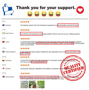 Serre <span class=keywords><strong>agricole</strong></span> préfabriquée <span class=keywords><strong>en</strong></span> métal pour la culture hydroponique de tomates et de melons, à plusieurs travées - Product Image 4