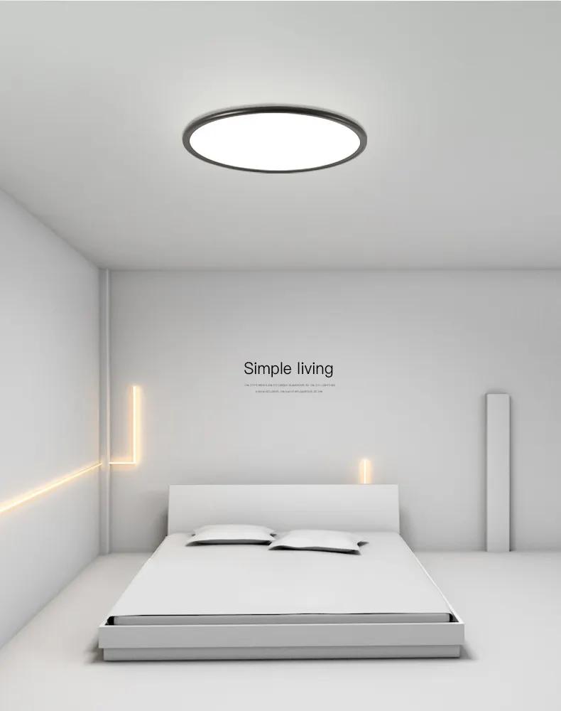 Ultra-Thin Modern Minimalist Round 24w 36w 48w Led Ceiling Light For Bedroom Living Room Home